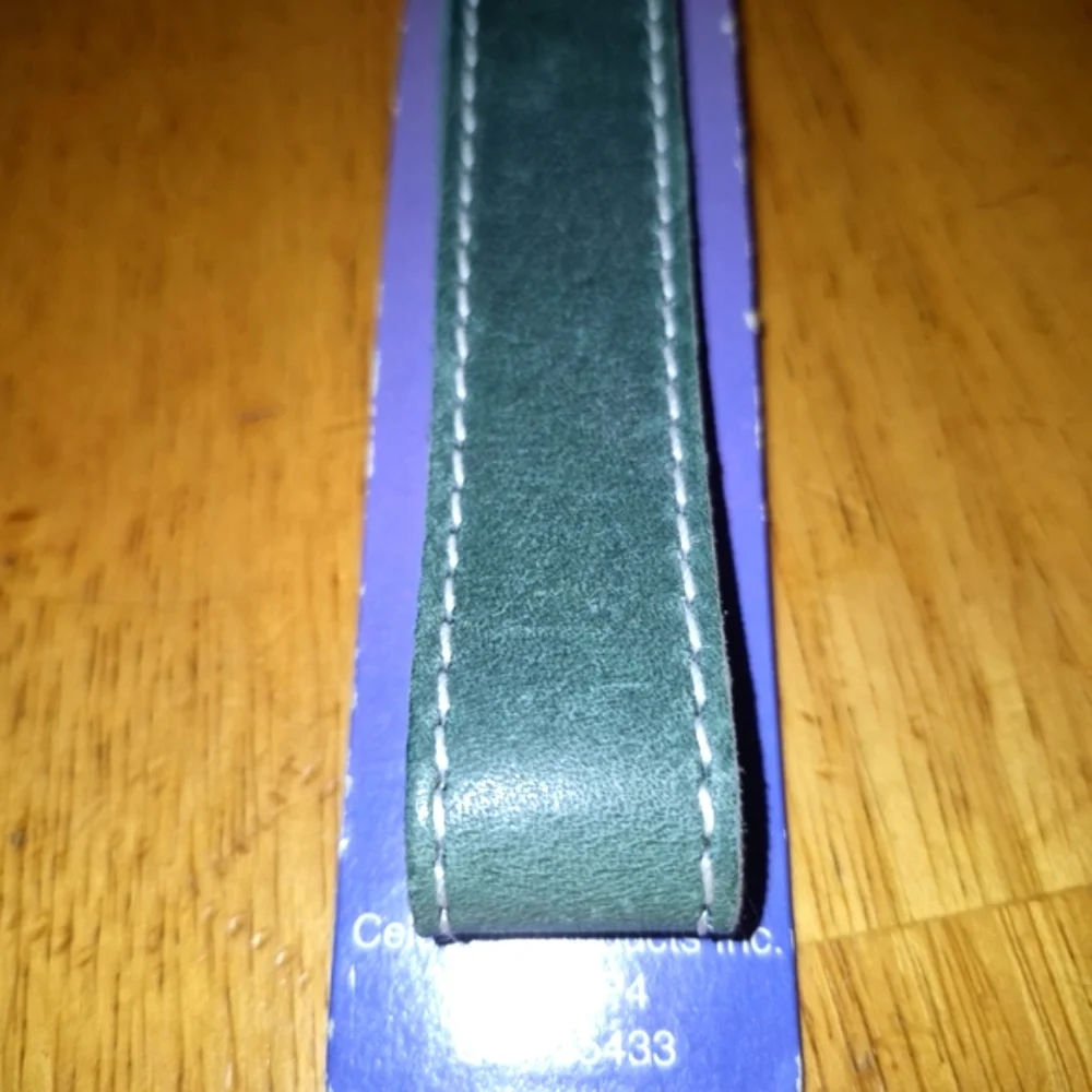 Celebrity‎ Green Dog Collar with Durable Metal Buckle. the buckle has a litt